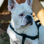 Темная сторона программ лояльности казино без депозита