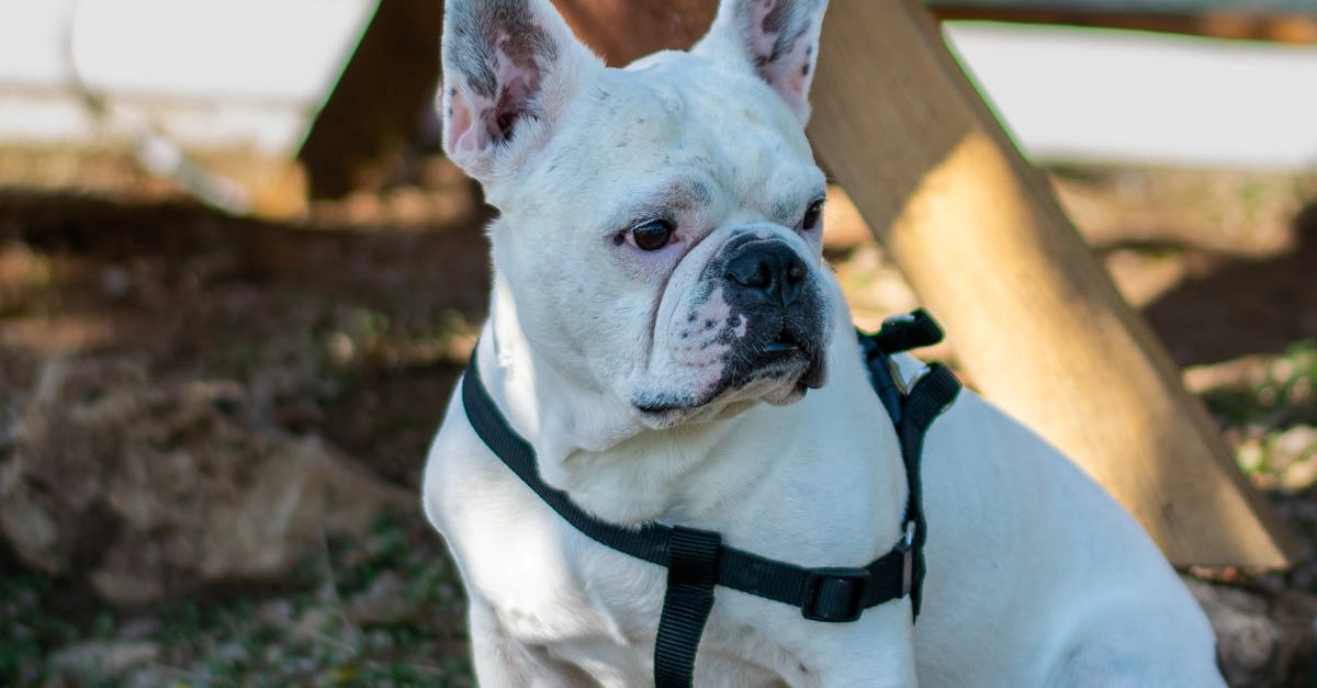 Темная сторона программ лояльности казино без депозита